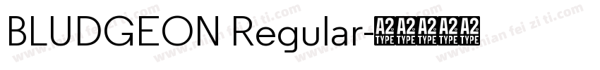 BLUDGEON Regular字体转换